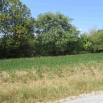 0000 FRISCO Road  Ewing IL 62836