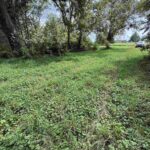 1923 280TH Street  Letts IA 52754