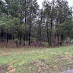 Lot 347 Clifty Lane  Goreville IL 62939