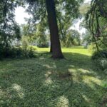 339 28TH Avenue  East Moline IL 61244