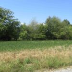 0000 FRISCO Road  Ewing IL 62836
