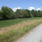 0000 FRISCO Road  Ewing IL 62836