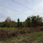 TBD Brock Lane  Murphysboro IL 62966