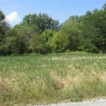 0000 FRISCO Road  Ewing IL 62836