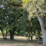 702&704 COLEMAN Street Havana IL 62644