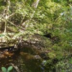 3830 Gum Springs Road Ozark IL 62972