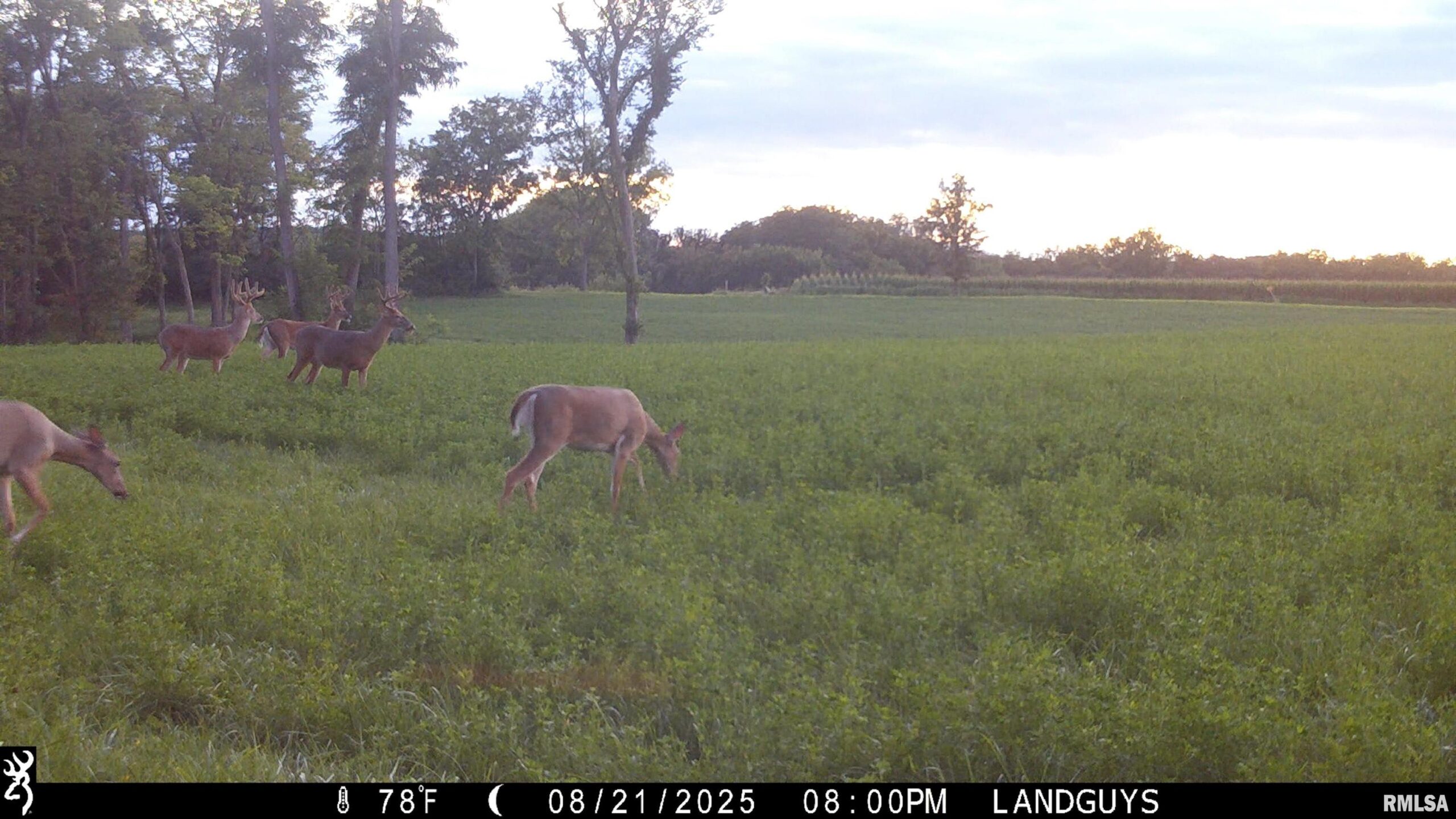 001 HARDSCRABBLE Road  Sparland IL 61565