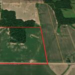 000 Papertown Lane  Bluford IL 62814