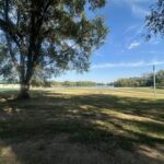 108 MASON Street  Tovey IL 62570