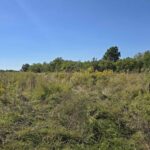 0 Mount Pisgah Road  Buncombe IL 62912