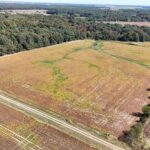 000 E Tallowtree Drive  Xenia IL 62899
