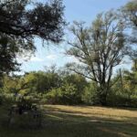 702&704 COLEMAN Street Havana IL 62644