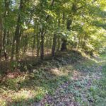 3830 Gum Springs Road Ozark IL 62972