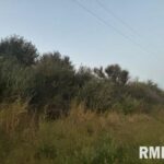 0000 Campbells Corner Road  McLeansboro IL 62859