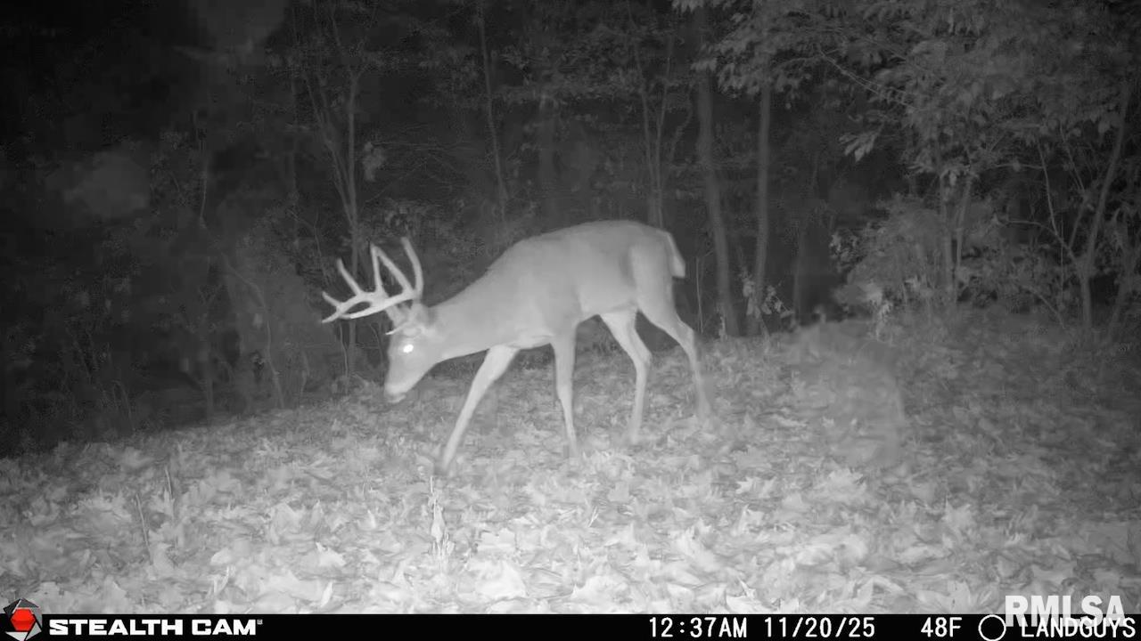 00 Eldred Road Fieldon IL 62031