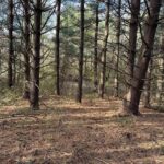 400 Block EDGEWOOD Road Salem IL 62881