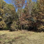 400 Block EDGEWOOD Road Salem IL 62881