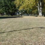 516 EDWARDS Street  Macomb IL 61455