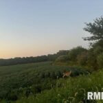 0000 Campbells Corner Road  McLeansboro IL 62859