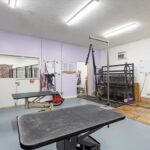 235 English Avenue  Springfield IL 62702