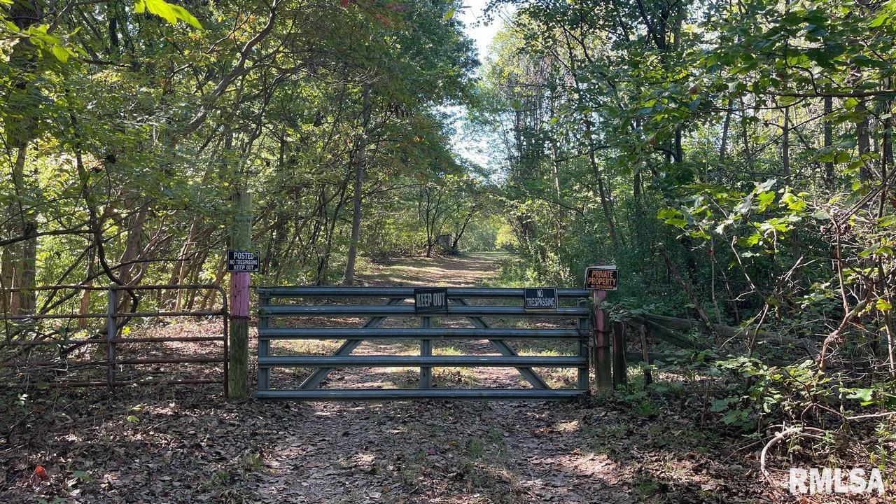 0000 FOREST Road  Ava IL 62907