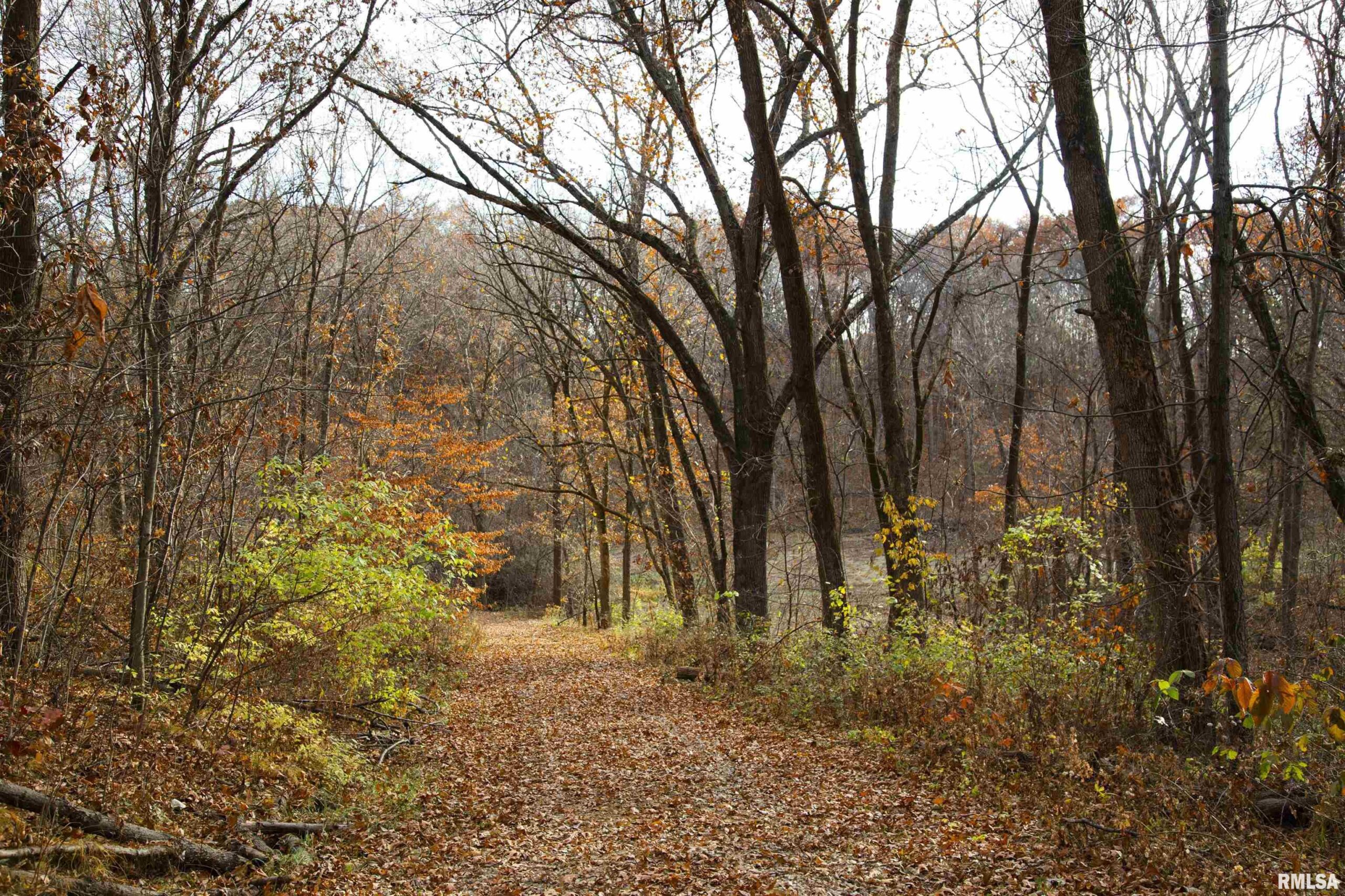 0000 SMITHVILLE Road Trivoli IL 61569-0000