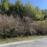 400 Block EDGEWOOD Road Salem IL 62881