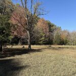 400 Block EDGEWOOD Road Salem IL 62881