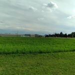 2401 MANUFACTURING Drive  Clinton IA 52732