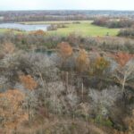 208 Dewmaine Road Carterville IL 62918