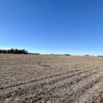 13781 Gilmore Road Auburn IL 62615