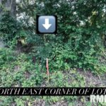 Lot 2 FALCON Road  Carbondale IL 62901