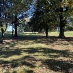 000 Egypt Shores Road Creal Springs IL 62922