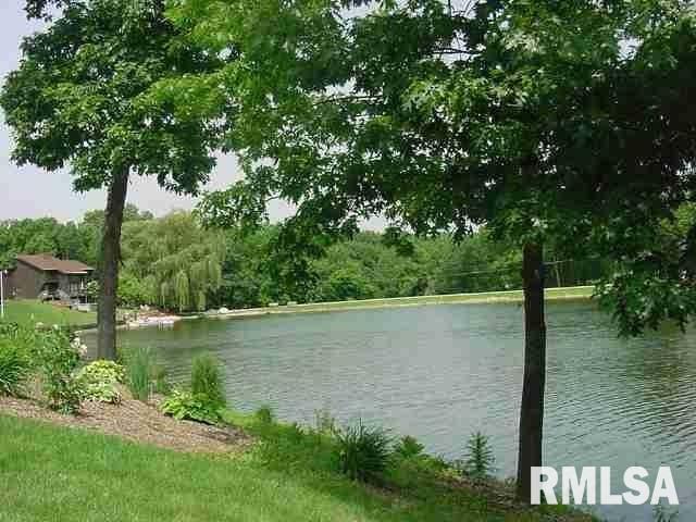 LOT 49 RUSTIC LAKE ESTATES   Colona IL 61241