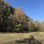 400 Block EDGEWOOD Road Salem IL 62881