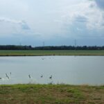 0000 PARK Avenue Herrin IL 62948