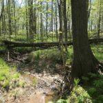 000 1900th Street  Dieterich IL 62424