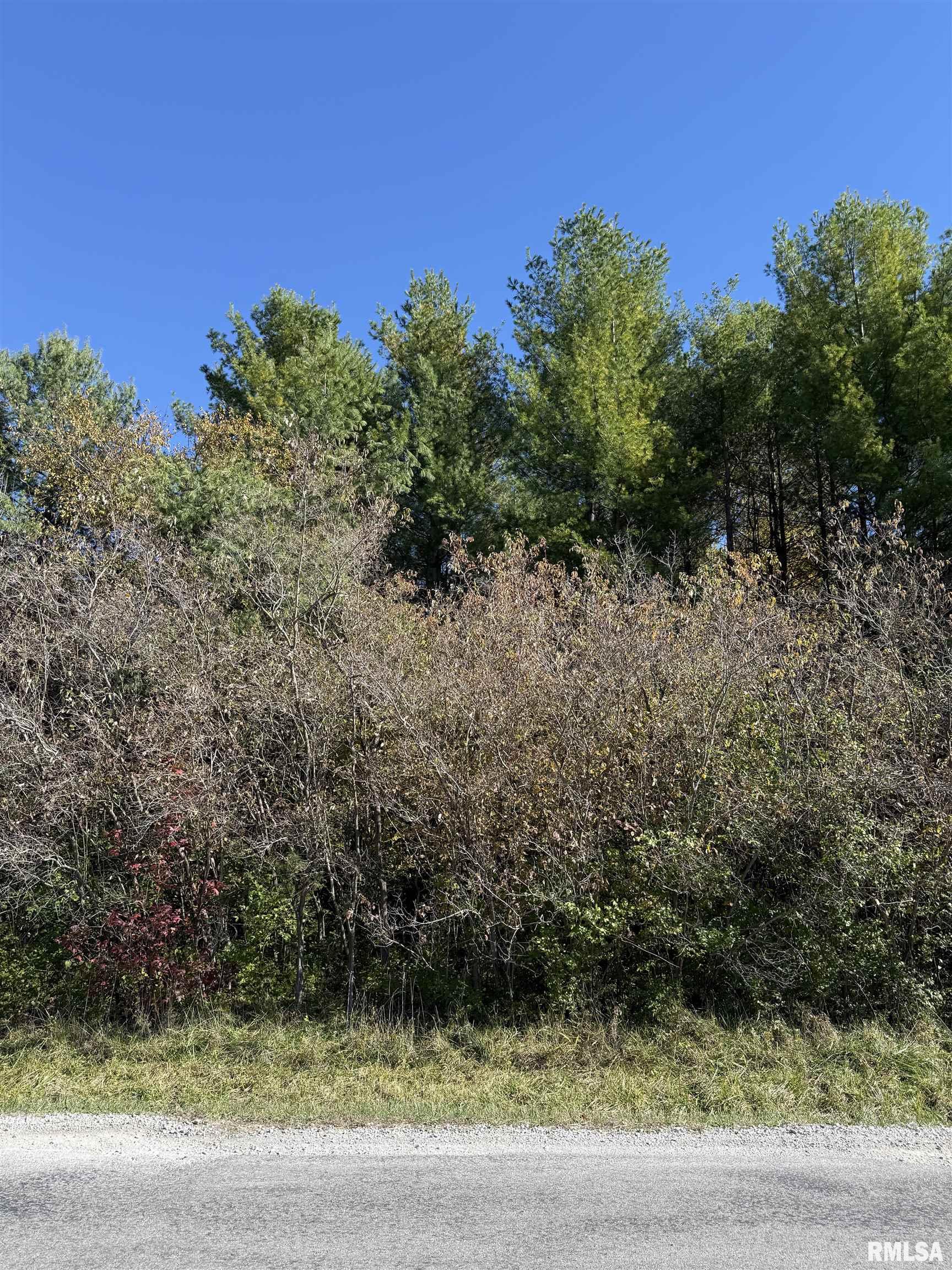 400 Block EDGEWOOD Road Salem IL 62881