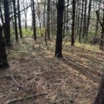 400 Block EDGEWOOD Road Salem IL 62881