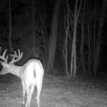 0000 FOREST Road Ava IL 62907