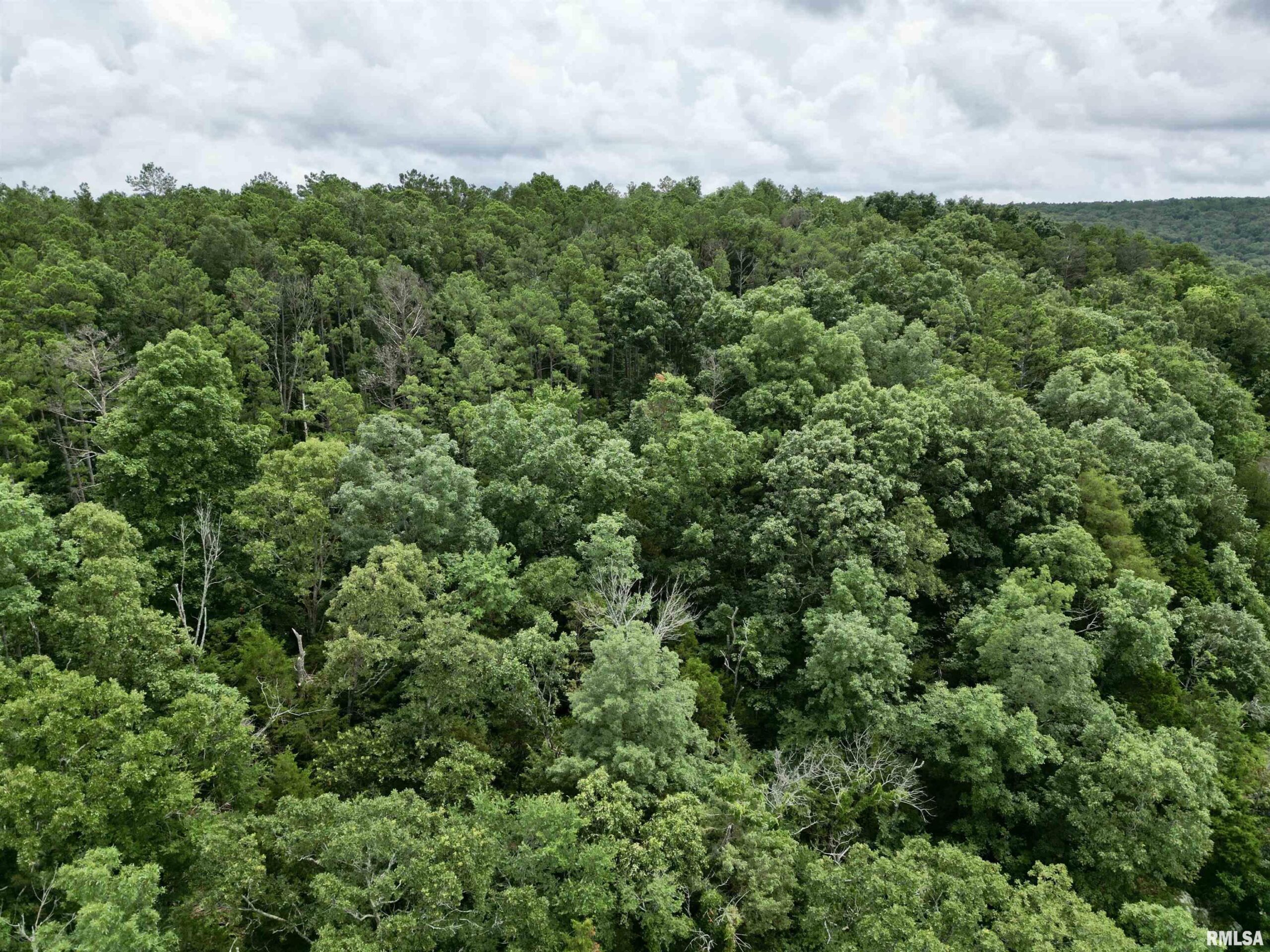 000 Stoneface Road  Harrisburg IL 62947