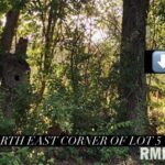 Lot 2 FALCON Road  Carbondale IL 62901