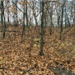 000 YANKEE Lane Chillicothe IL 61523