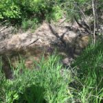 000 1900th Street  Dieterich IL 62424