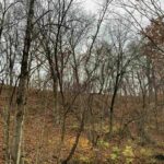 000 YANKEE Lane Chillicothe IL 61523