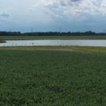 0000 PARK Avenue Herrin IL 62948