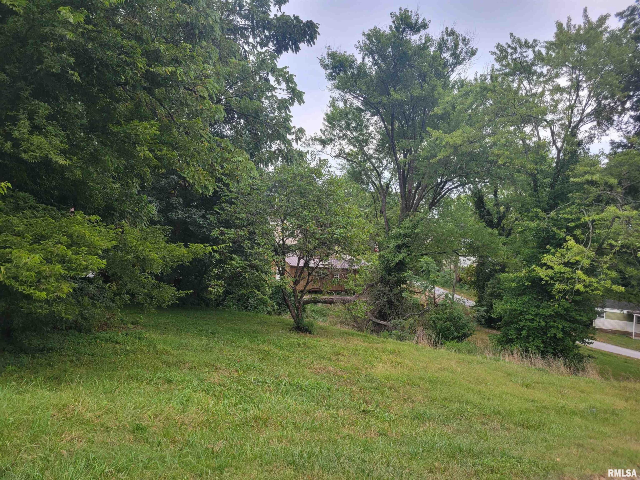 TBD J Street Jonesboro IL 62952