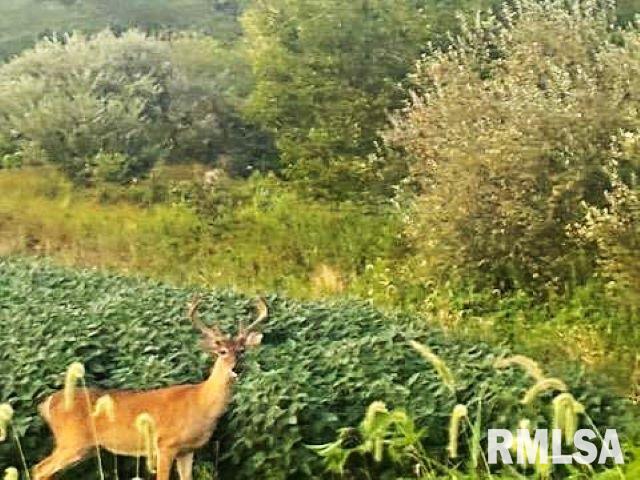 0000 Campbells Corner Road  McLeansboro IL 62859