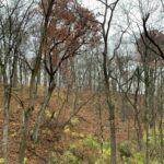 000 YANKEE Lane Chillicothe IL 61523