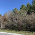 400 Block EDGEWOOD Road Salem IL 62881